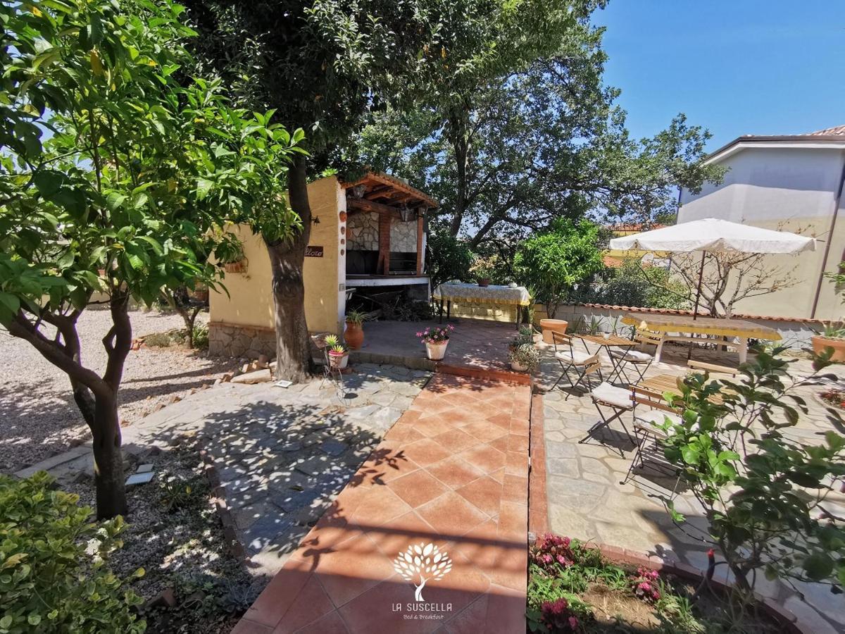 La Suscella Bed & Breakfast Bed and Breakfast Torchiara Εξωτερικό φωτογραφία