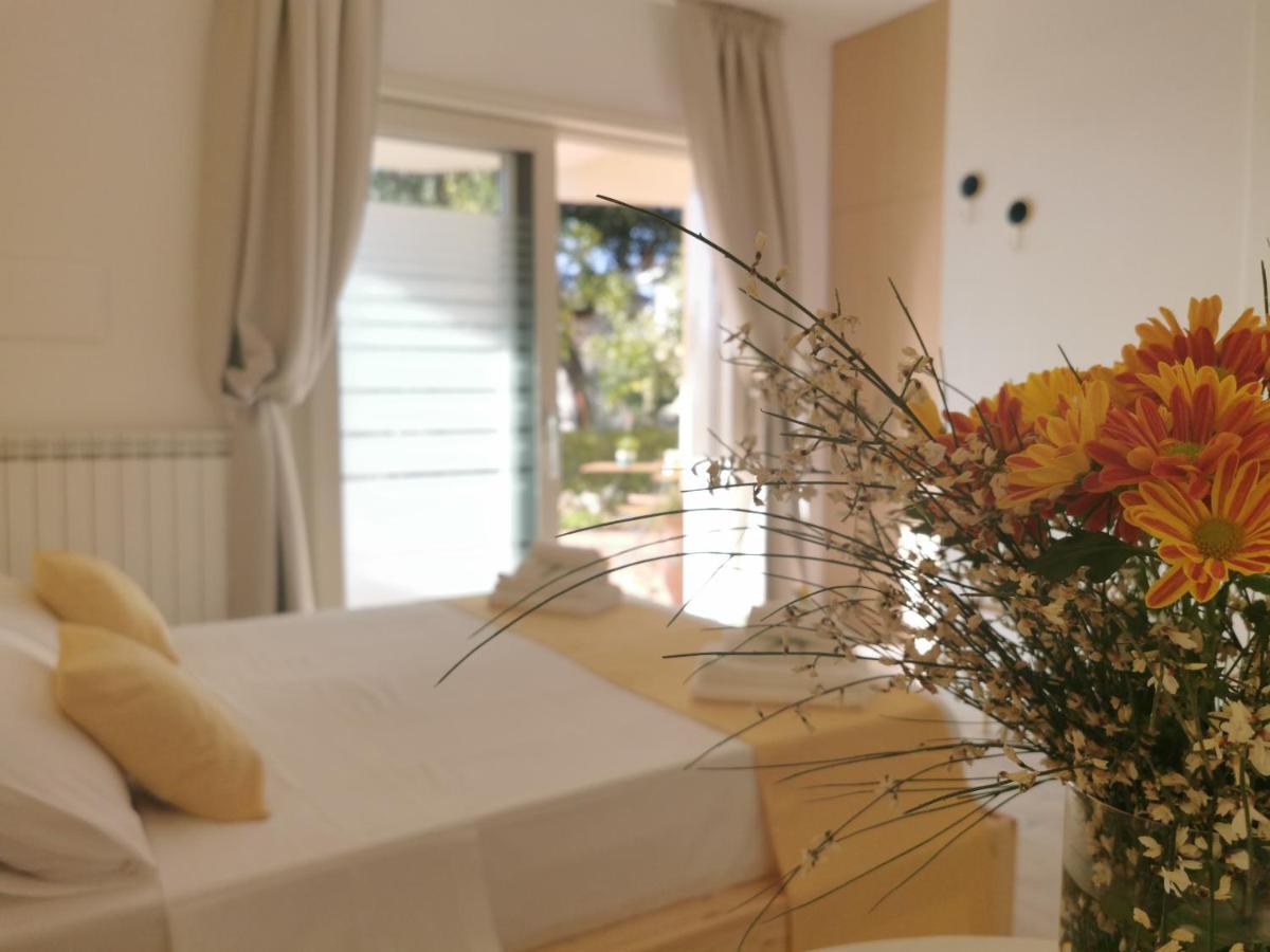 La Suscella Bed & Breakfast Bed and Breakfast Torchiara Εξωτερικό φωτογραφία